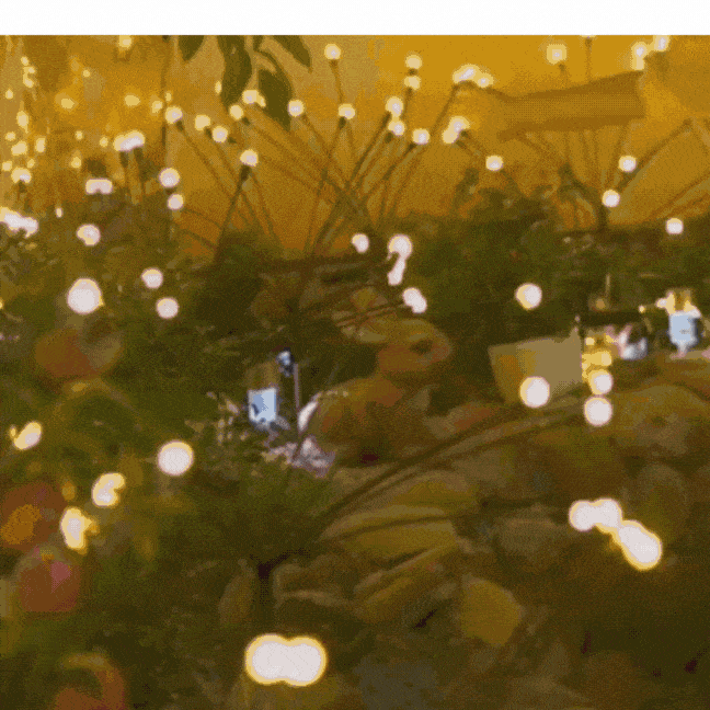 Garden Lights-New Upgraded Solar Powered