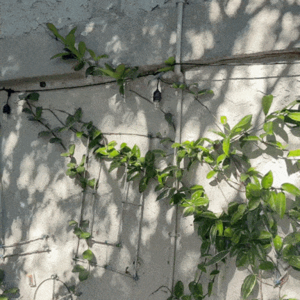 Solar Irrigation System for Garden Balcony