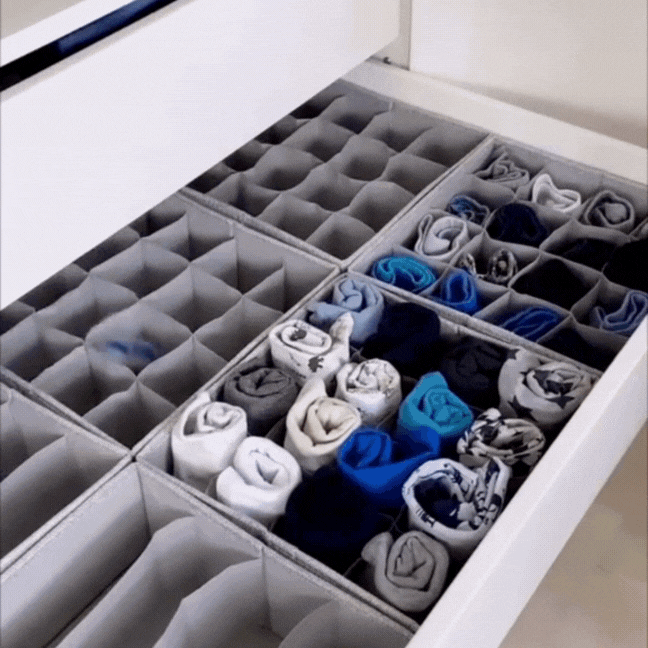 wardrobe organizer for socks and underwear